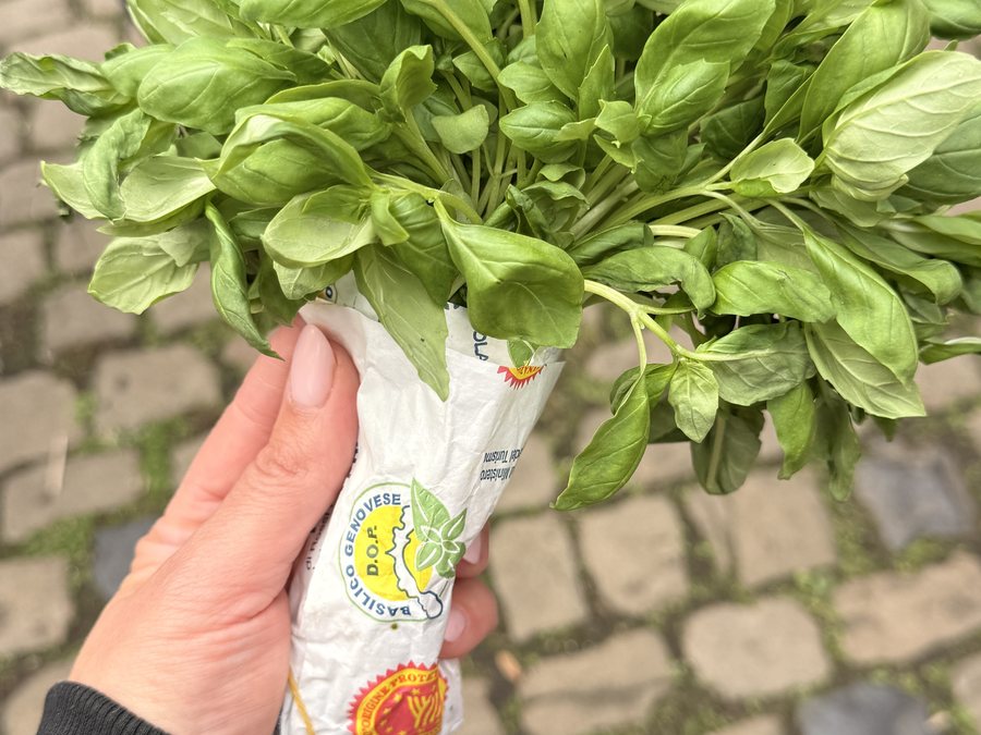 Basilikum für das Pesto, Chefs in Town bei Lettinis